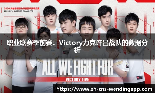 职业联赛季前赛：Victory力克许昌战队的数据分析