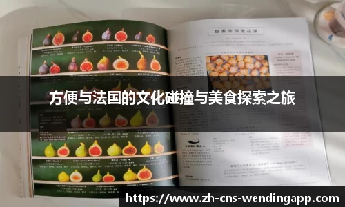方便与法国的文化碰撞与美食探索之旅